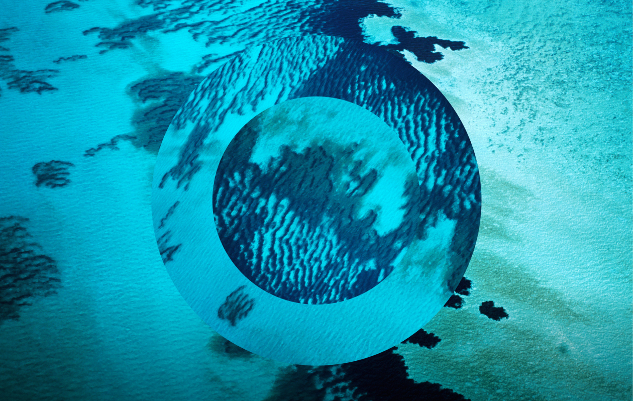 Pact-Full-Circular-Graphic-Device-04-01 1