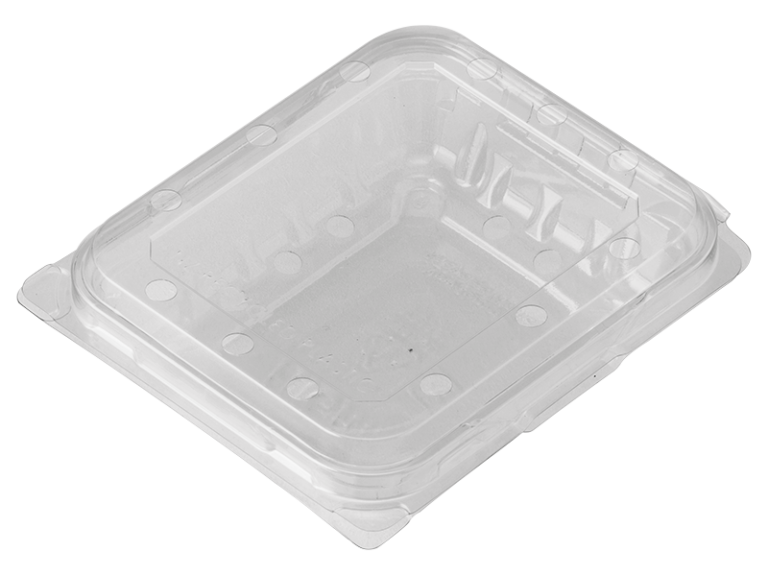 PUNNET 125G CLAMSHELL BLUEBERRY