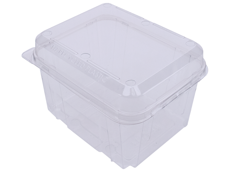 PUNNET 1KG Clamshell