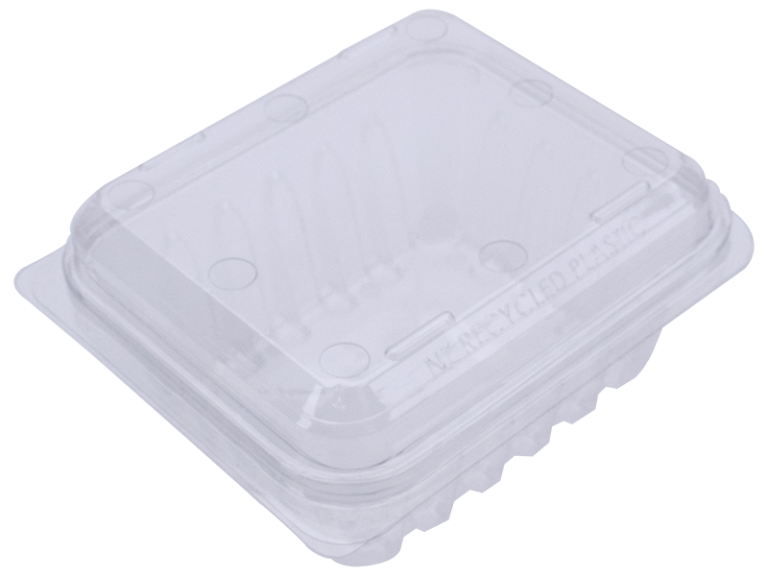 PUNNET 250G Clamshell LARGE