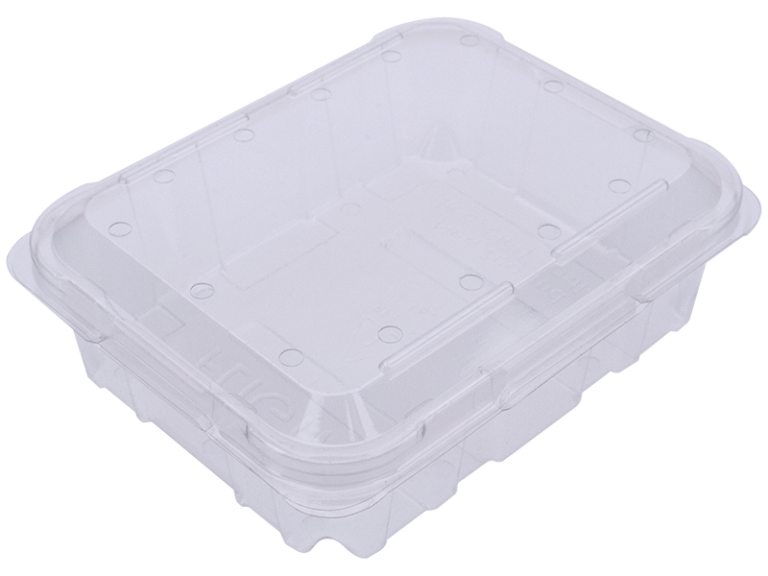 PUNNET 500G Clamshell