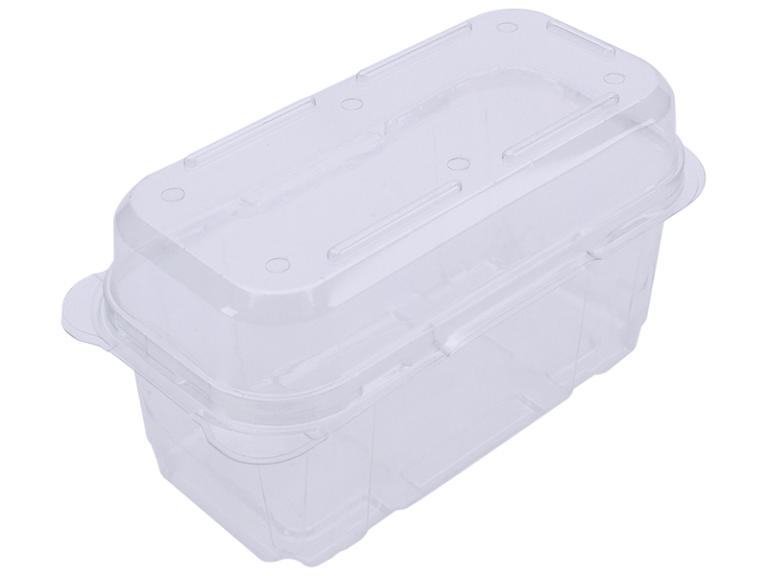 PUNNET 600G Clamshell KIWIFRUIT