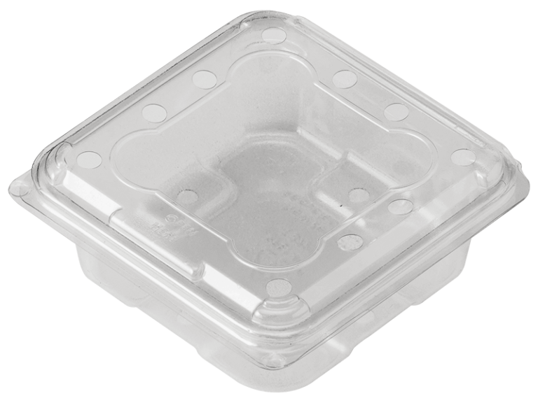 PUNNET 125G Clamshell BLUEBERRY