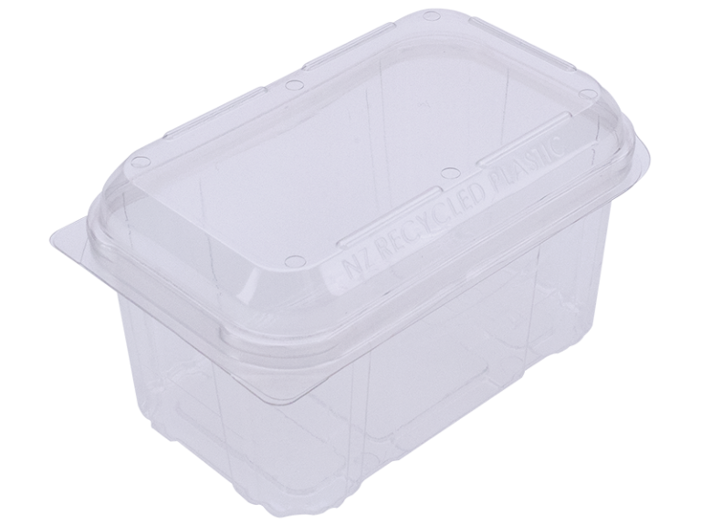 PUNNET 800G Clamshell KIWIFRUIT