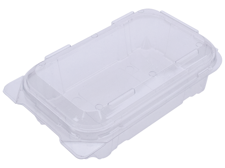 PUNNET 300G Clamshell
