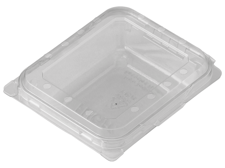 PUNNET 125G CLAMSHELL BERRY