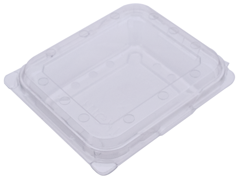 PUNNET 125G Clamshell BERRY WITH HOLES