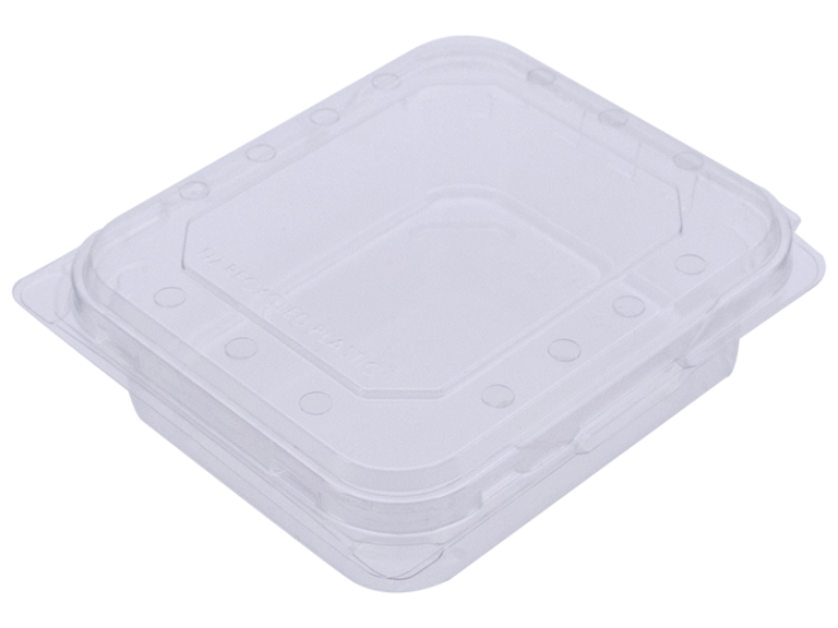 PUNNET 125G Clamshell BERRY